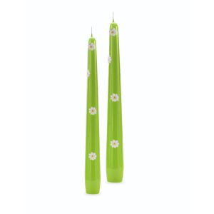Candele coniche con Margherite Ø 2,2 cm h. 25 cm 2 pezzi -Pistacchio