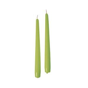 Candele coniche Ø 2,2 cm h. 25 cm 10 pezzi - Pistacchio